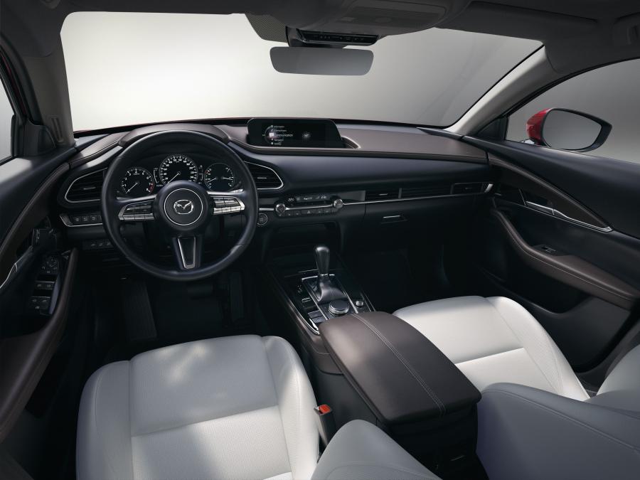 Торпедо Mazda CX-30 2019 года  (WW) (фото 7 из 40)